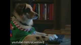 Dog With A Blog - Bark The Herald Angels Sing - Promo