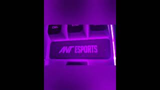 Best Budget Gaming Keyboard in