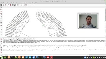 Phylogenetics Mega software tutorial