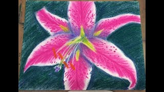 Original Lily painting soft pastel art under sunlight