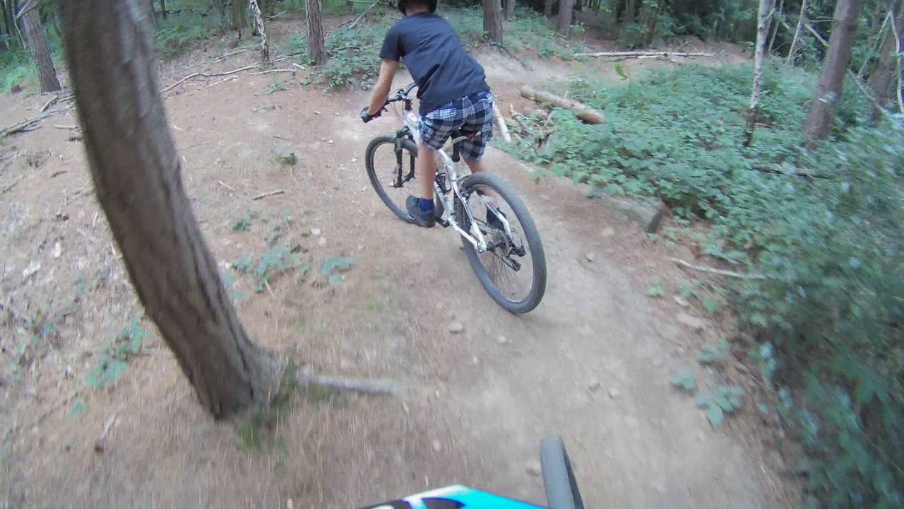 ribbesford bike park
