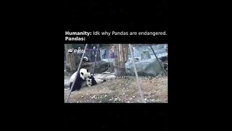 Here is also a reason why pandas are endangered