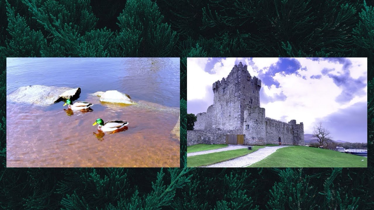 A day in  Ross Castle  🏰🦇..