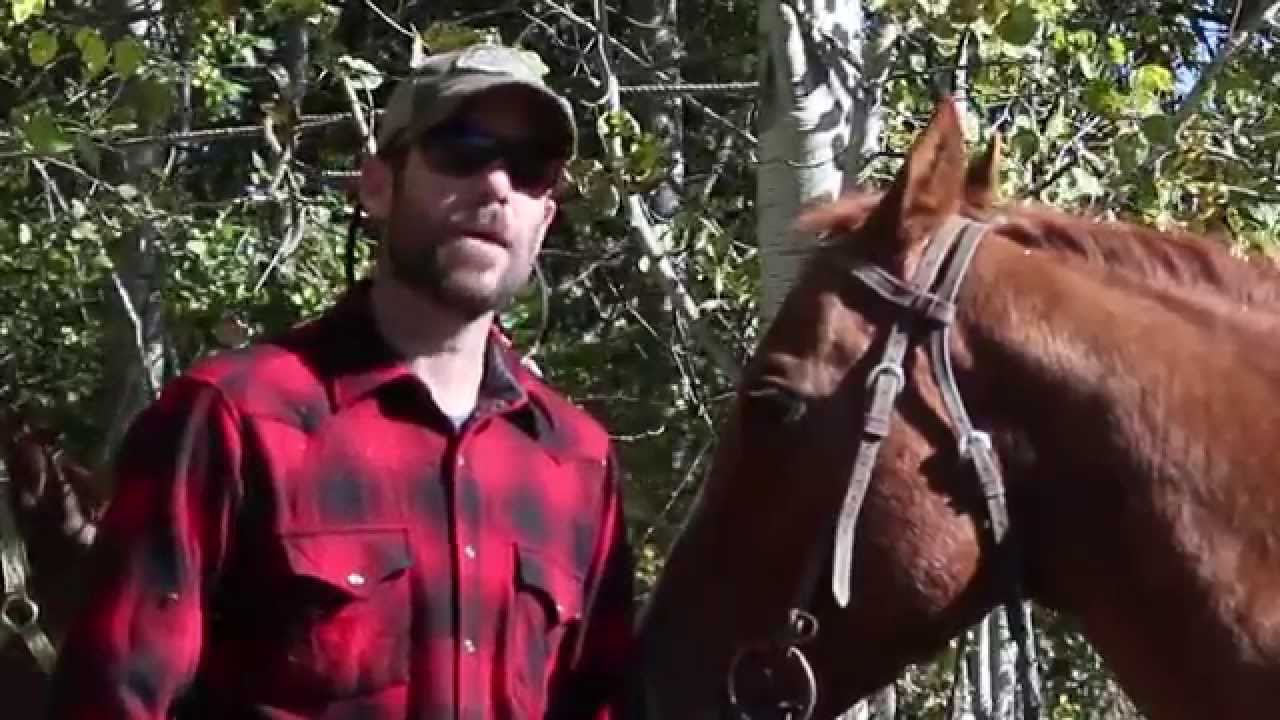 Tips for Hunting with Horses YouTube