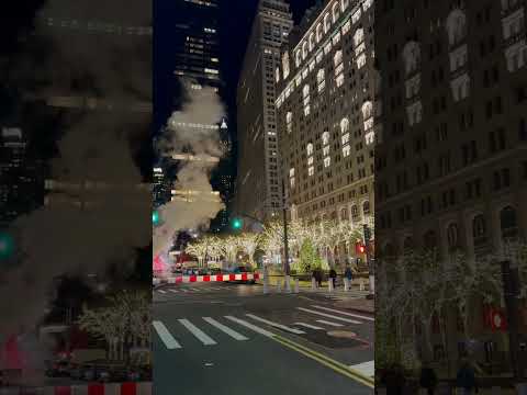 Video: S.T.E.M. New Yorkin nähtävyydet
