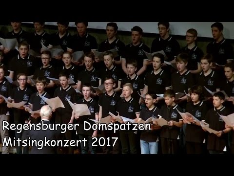 Regensburger Domspatzen | Ausschnitte aus dem 8. Mitsingkonzert 2017 (Gast: Blaskapelle Josef Menzl)