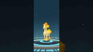 [Pokemon GO] Full Evolution Line of Ponyta into Rapidash #tiktokeffects #ponyta #rapidash