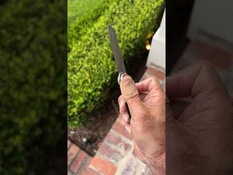 Sipping & Flipping Knives !