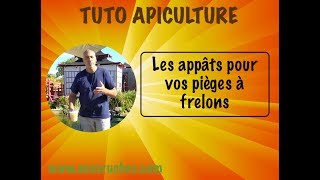 TUTO apiculture , les appâts pour piège à frelons