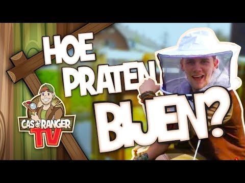 Video: Hoe Bijen Te Kweken?