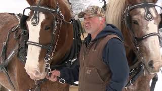 Horses pull semitruck up icy hill in Mabel, Minnesota