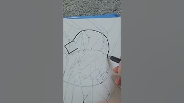 #howto #draw #a #swan #bird #quick #sketch #drawing #view #simple version section selection artwork