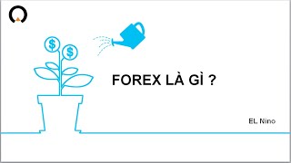 forex là gì ? các thuật ngữ cơ bản trong forex