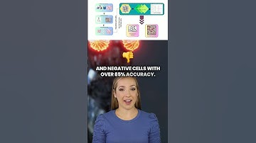 Revolutionary AI for Breast Cancer Assessment: Single-Shot KI-67 Quantification