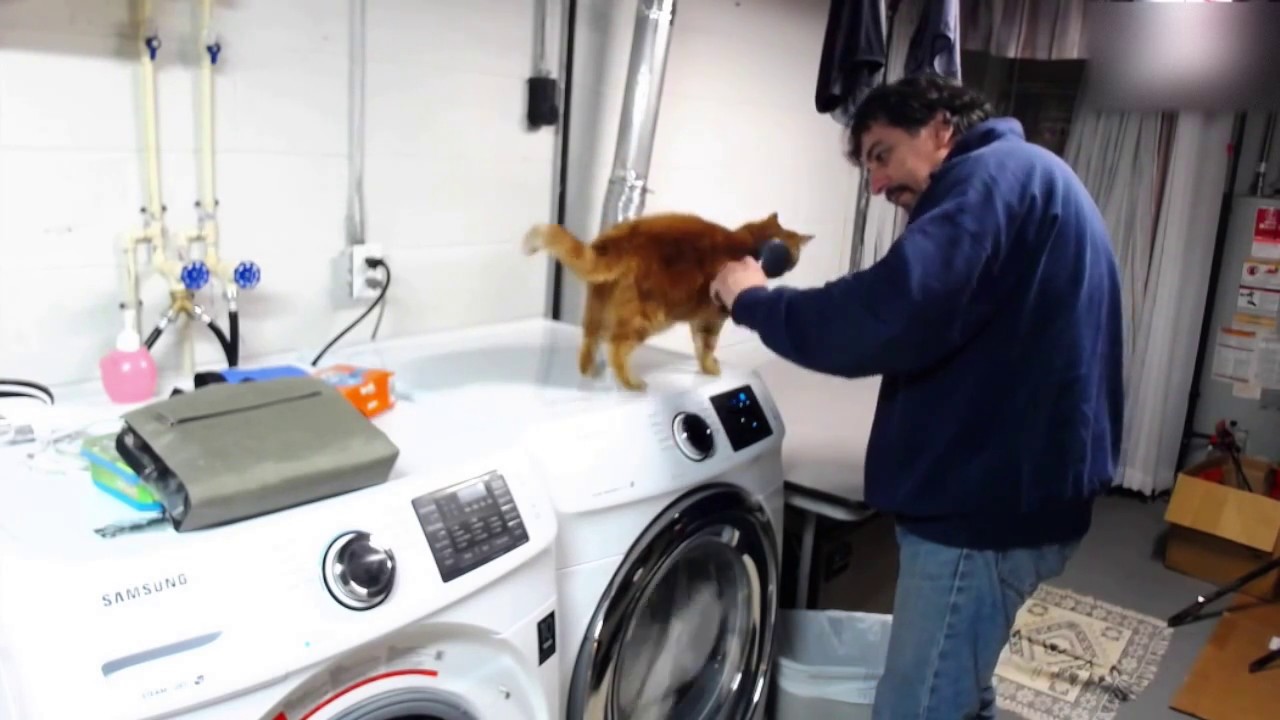 Ruthie and the brush YouTube