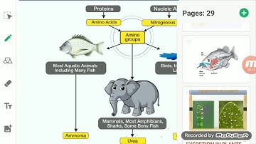 ClassVI Science 26 05 2020  by Ms Mridulata Upadhyay