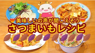 おかずになる！さつまいもレシピ4品紹介♪お弁当にも最高！