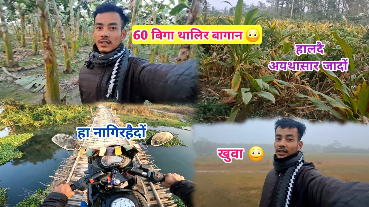 60 बिगा थालिर बागान 😳 ll हा नागिरहैदोंमोन हादानाव