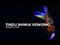 Tindu (Minük Rework) by Mirabai Ceiba & Minük