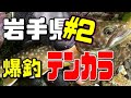 【毛ばり・テンカラ】岩手県源流テンカラ釣り２日目(魚止めの滝)