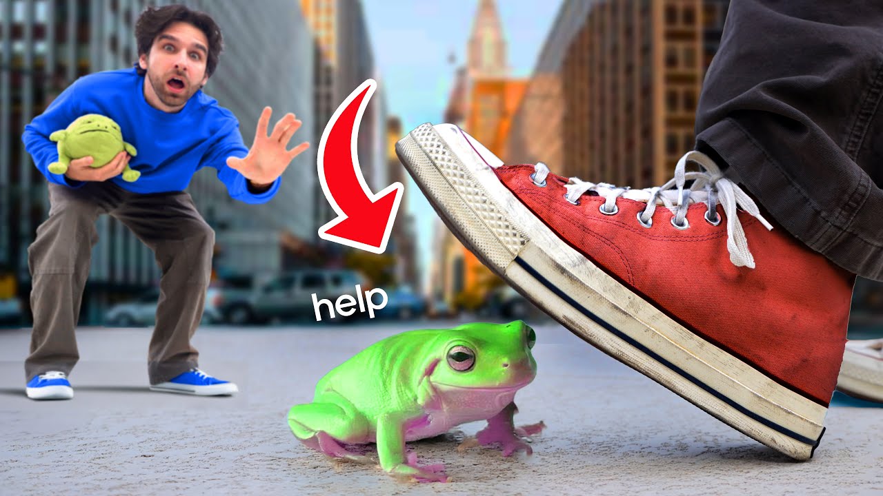 Я потеряла свою лягушку в Нью-Йорке... (Это было печально)