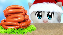 Фотографии анука давайка. А ну ка давайка а ну ка давайка. Алиса видео а ну ка давай. Кот малыш анука давайка. Анука давайка.