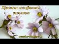 Foam flowers tutorial. Цветы из фома своими руками: видео урок. Букетик космеи из фоамирана