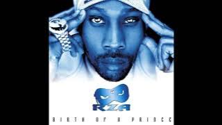 RZA - BIRTH OF A PRINCE [ FULL ALBUM ]