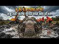 কাদায় আটকে থাকা হাতিকে যেভাবে উদ্ধার করা হলো | Emotional Elephant Rescue
