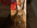 Episode 4.