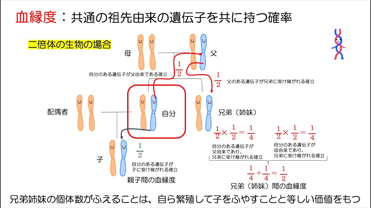 高校生物「個体群内の相互作用」2023