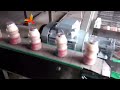 Rapidly Increase Your Production Capacity | Automatic Sleeve Shrink Labeling Machine For Milk Bottle