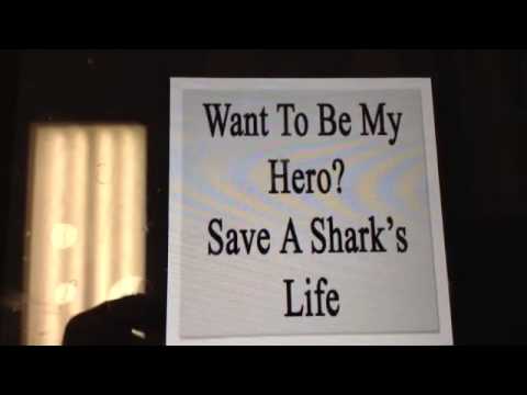 video phone beyonce mp3 Shark Education: Alyssa & Celeste Saving Sharks