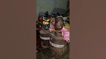 Limbu Cultural Marriage At Village Limbufamily Nepalesevillage Food Nepalvillage Shorts 