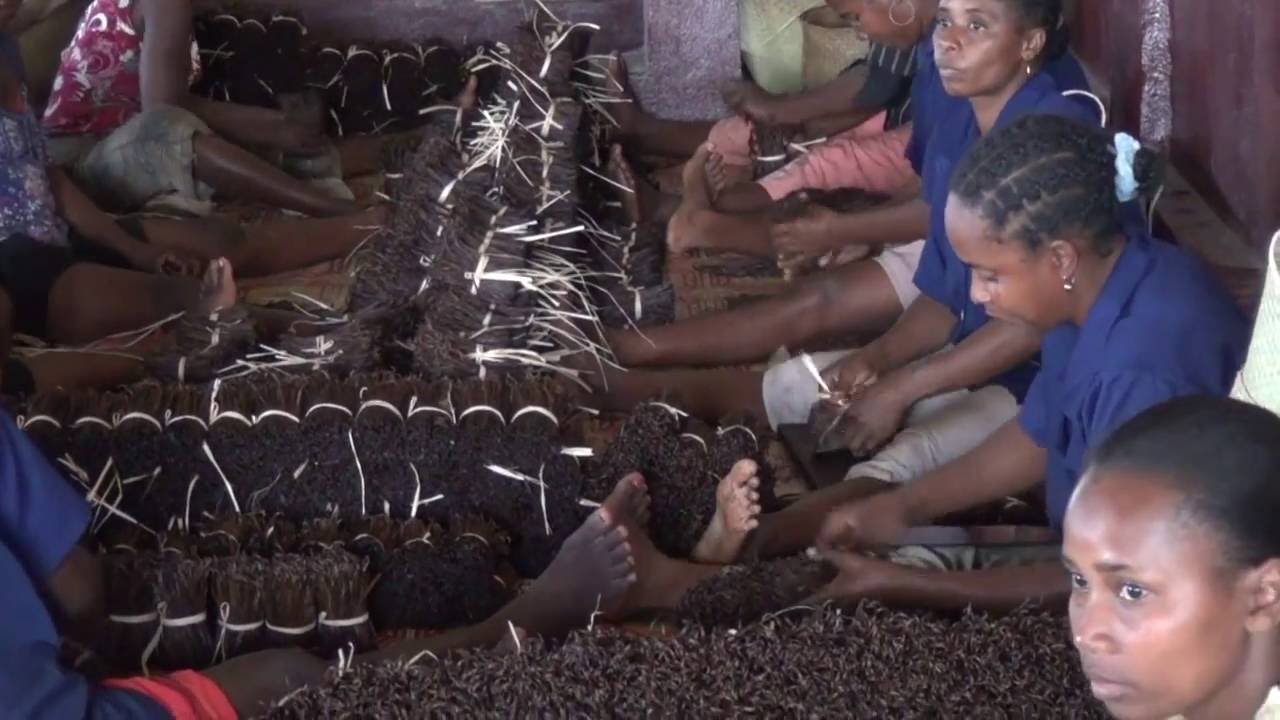 MADAGASCAR - De Sambava à Antalaha - Côte de la vanille