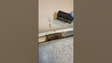 Cleaning up a crime scene with the murderer on scene?