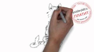 Как нарисовать зевающего кота карандашом Как нарисовать зевающего кота карандашом