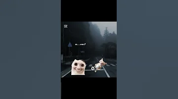 يا الهي Larry Memes Larrylegend Cat Funny Humor 