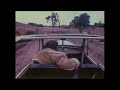 Neil Young & The Chrome Hearts - Casting Me Away From You (Official Visualizer)