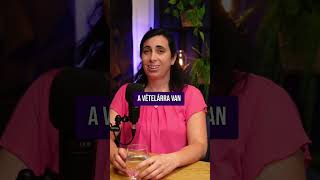 Mit kell tudni a 3%-os kamattámogatott hitelről?🤔