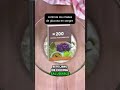 Así es como logro controlar los niveles de azúcar en la sangre #glucosa #recetas