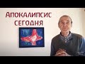 Апокалипсис сегодня. Дитер Хорнеманн