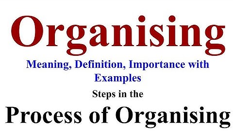 Organising, Organizing, Organising Process, Essentials of Management, Importance of Organizing