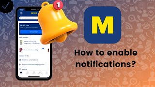 How to enable notifications on Metro Companion? screenshot 5