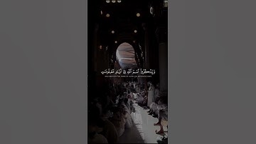 القاريء عبدالرحمن مسعد #اكسبلور #لايك #القارئ #راحة_نفسية #الحرم_المكي