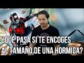 ¿Qué pasa si te encoges al tamaño de una hormiga?