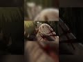 Attack on Titan 😍#trending #anime #shorts #viral#memes#funny @Ani@MrBeast@KidsDianaShow