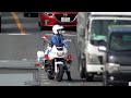 【リアル警察24&quot;時間&quot;】取締りノンストップ/Traffic police officers in Tokyo