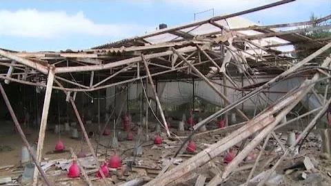 Cosa è successo nella Striscia di Gaza?
