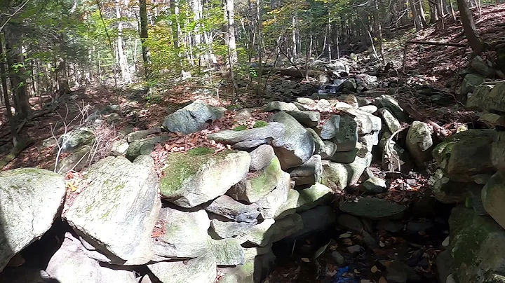 Charlie Flynt Sawmill Schermerhorn Gorge October M...